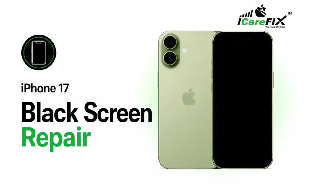 Black Screen Repair