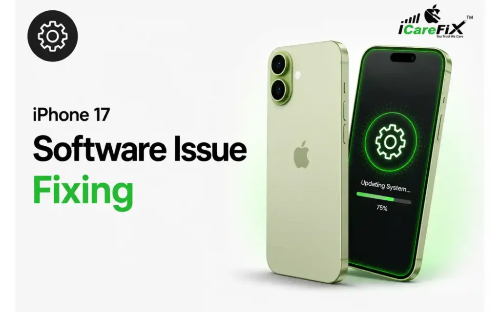 Software Issue Fixing