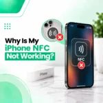 iPhone Network & Connectivity Issues